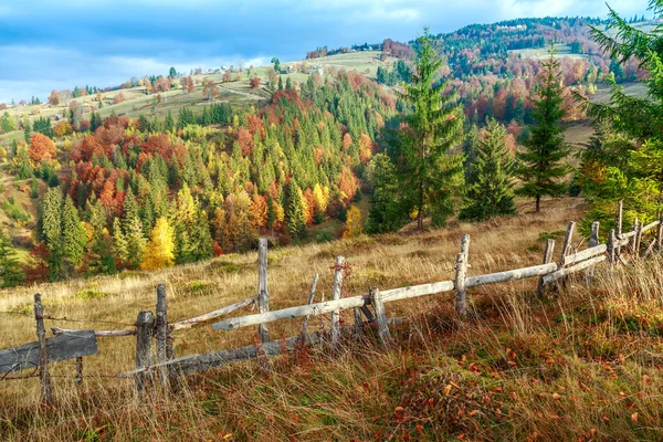 Foggy summer morning in the mountains — Stock Photo, Image