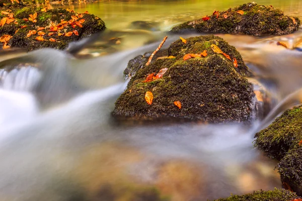 Creek hluboko v horském lese — Stock fotografie