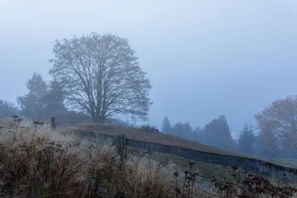 Туманное утро в Трансильвании — стоковое фото