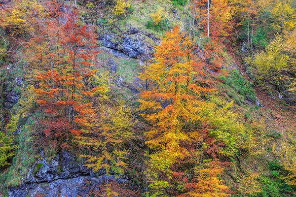 Paesaggio d'autunno — Foto Stock