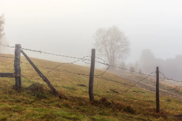 Foggy matin en Transylvanie — Photo