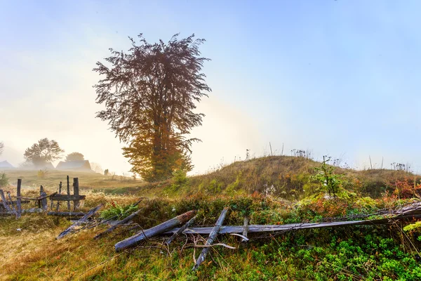 Magisk soluppgång — Stockfoto