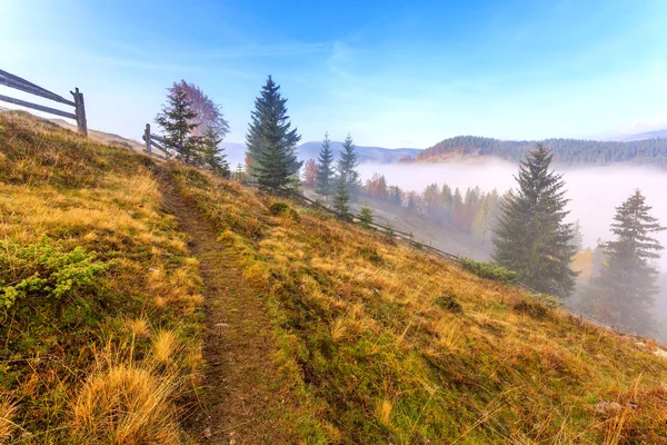 Magische zonsopgang — Stockfoto