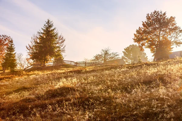 Magische zonsopgang — Stockfoto