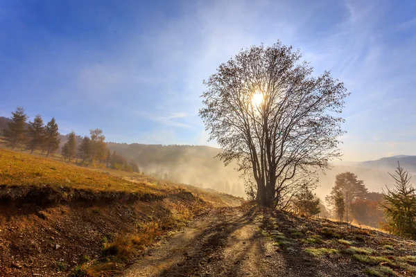 Nebliger Morgen in Transsilvanien — Stockfoto