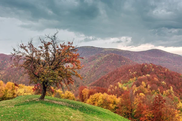 Herbstliche Landschaft — Stockfoto