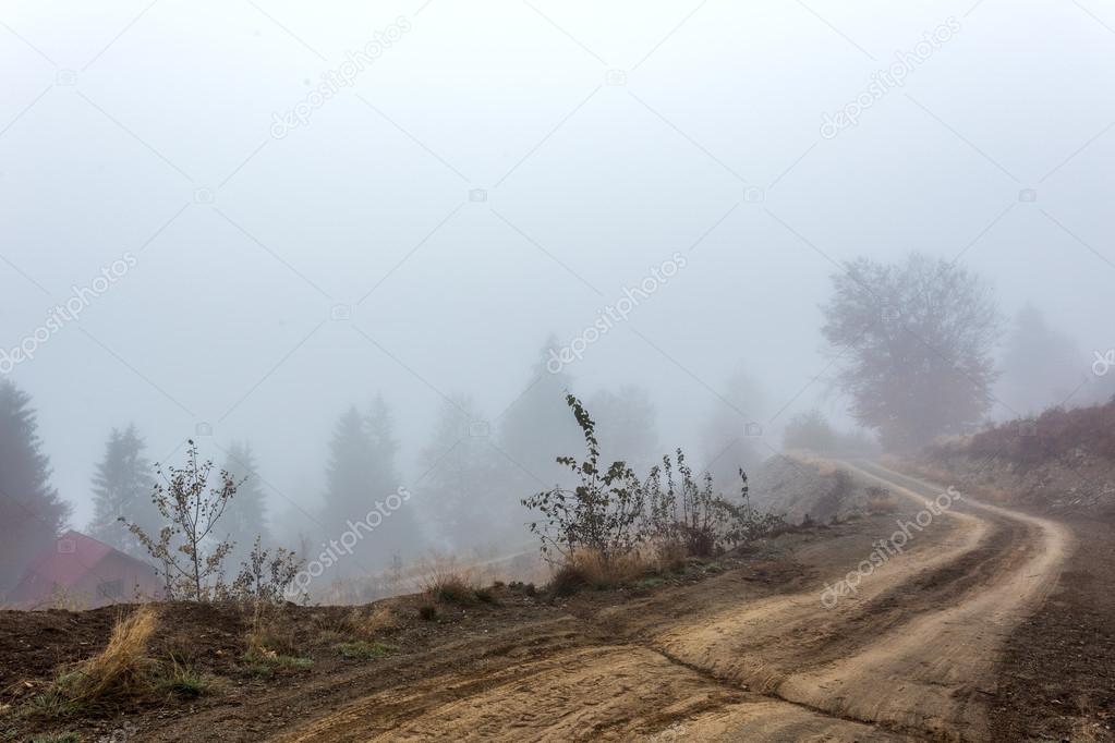 Foggy morning in Transylvania