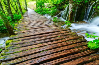 Boardwalk in the park