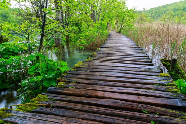 Boardwalk in the park — Stock Photo, Image