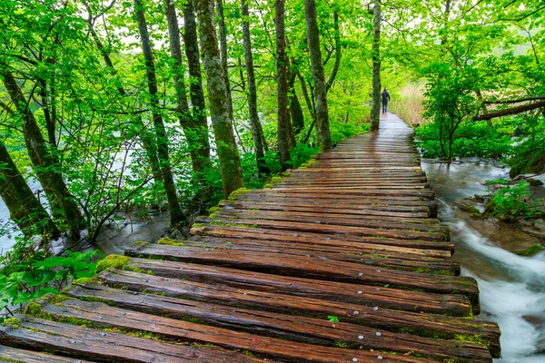 Paseo marítimo en el parque — Foto de Stock