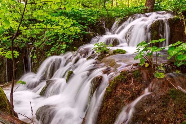 Lacs de Plitvice en Croatie — Photo