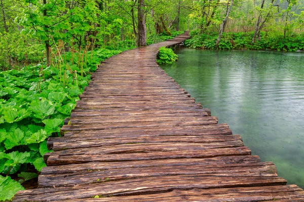 Passerella nel parco — Foto Stock