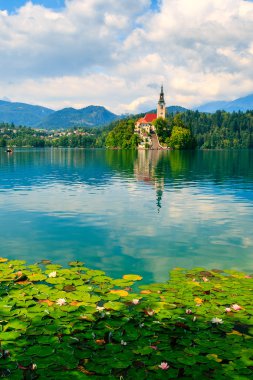 lake Bled, Slovenya, Avrupa