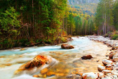 Triglavska bistrica creek
