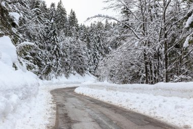  Karlı kış yol Slovenya