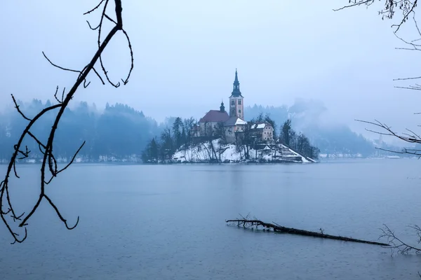 Bled z jeziora w zimie, Słowenia, Europa — Zdjęcie stockowe