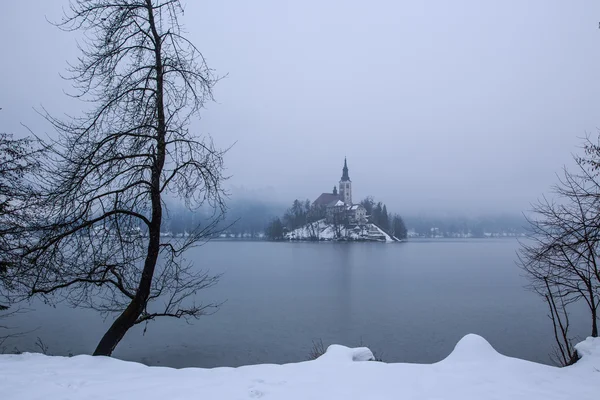 Blödde med sjön i vinter, Slovenien, Europa — Stockfoto