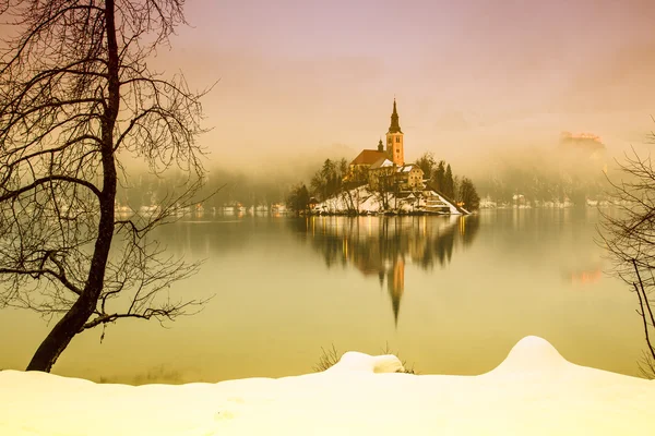 Bled con lago en invierno, Eslovenia, Europa —  Fotos de Stock