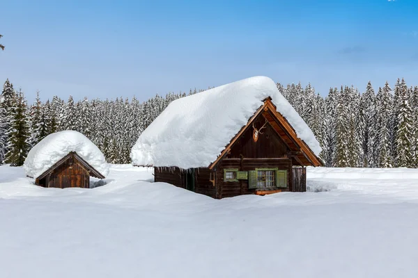 Winterwald in den Alpen — Stockfoto