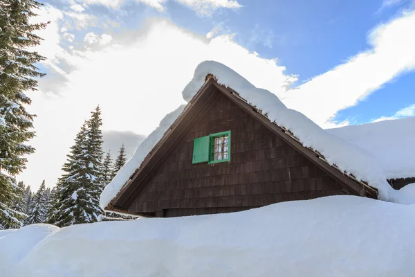 Forêt d'hiver dans les Alpes — Photo