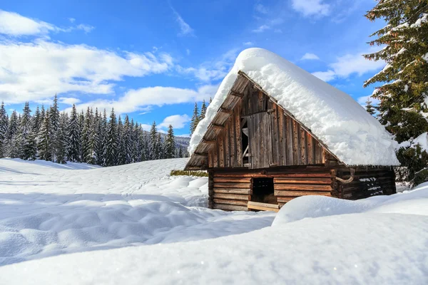 Winter forest in Alpen — Stockfoto