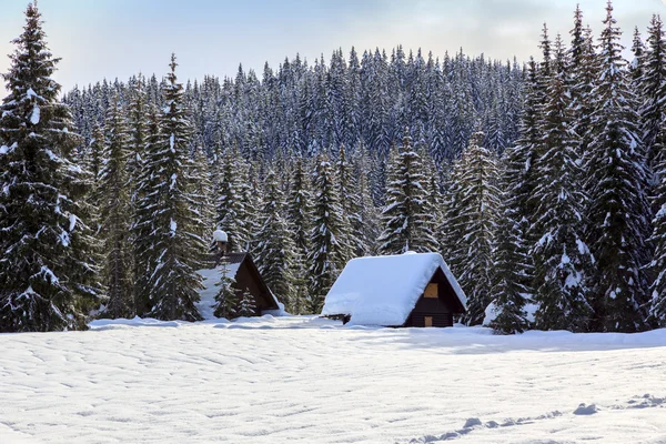 Bosque de invierno en los Alpes — Foto de Stock