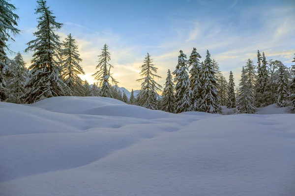 Paisaje invierno — Foto de Stock