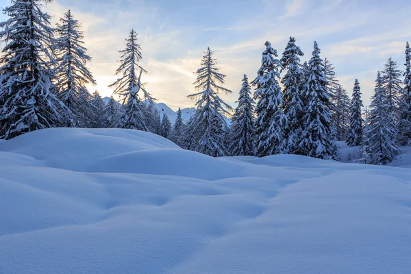 Paesaggio invernale — Foto Stock