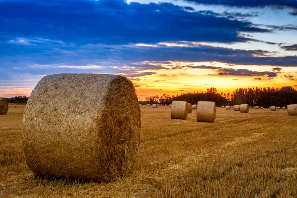 Tagesausklang über Feld mit Heuballen — Stockfoto