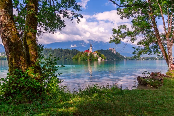 Λίμνη Bled το καλοκαίρι — Φωτογραφία Αρχείου