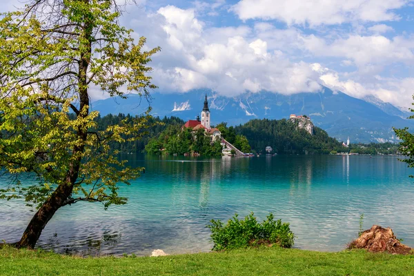 Sjön Bled på sommaren — Stockfoto