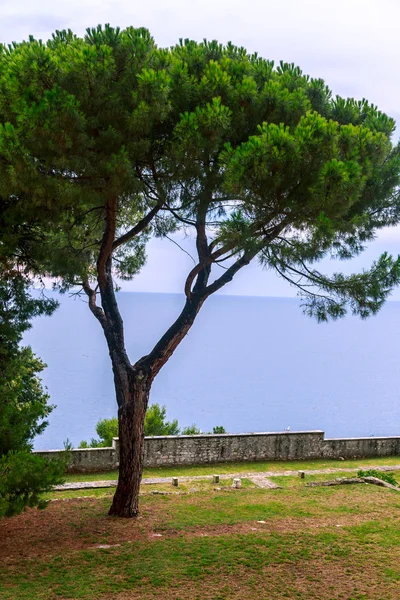 Adriatic sea view at Rovinj — Stock Photo, Image