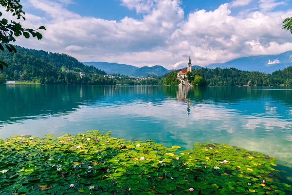Bled con lago — Foto Stock