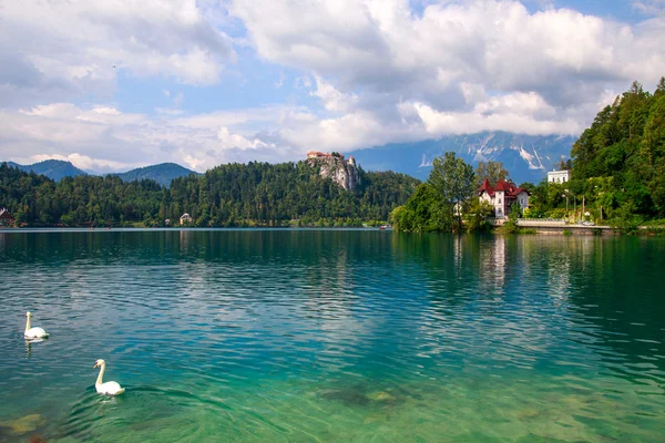 İle Lake bled — Stok fotoğraf