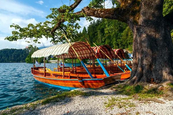 Traditionella träbåtar Pletna på sjön Bled — Stockfoto