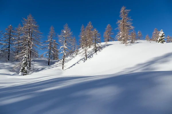 Zimní krajina nedaleko lyžařského střediska Vogel v horách Julian Alps — Stock fotografie
