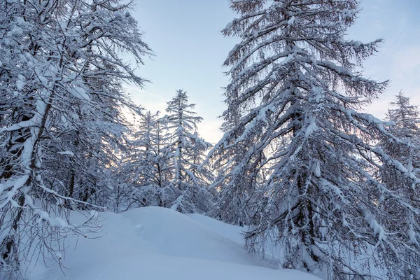 Paesaggio invernale — Foto Stock