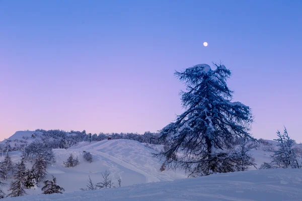 Paisagem inverno — Fotografia de Stock