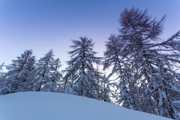 Paisagem inverno — Fotografia de Stock