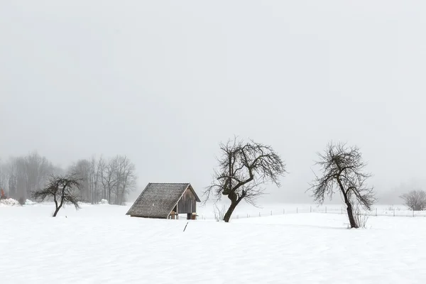 Paysage hivernal simple — Photo