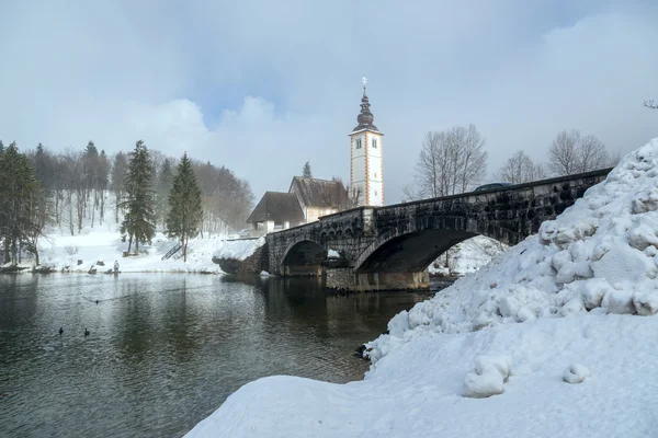 Hiver sur le lac Bohinj — Photo