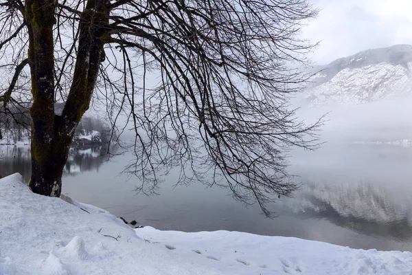 Inverno no lago Bohinj — Fotografia de Stock