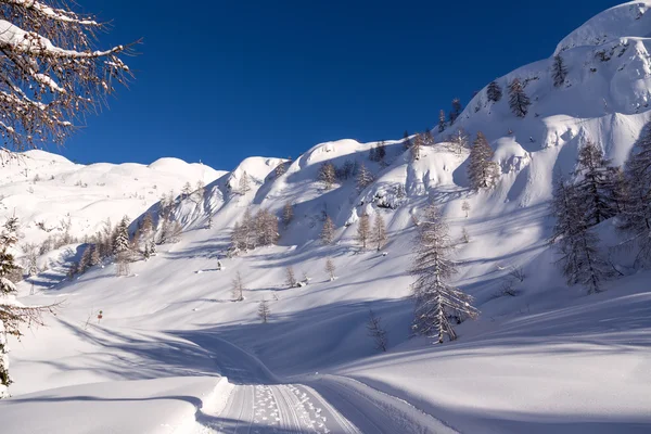 Winterlandschap — Stockfoto