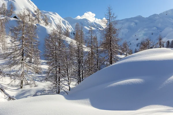 Winterlandschap — Stockfoto