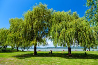 Yaz aylarında Macaristan'da Balaton Gölü