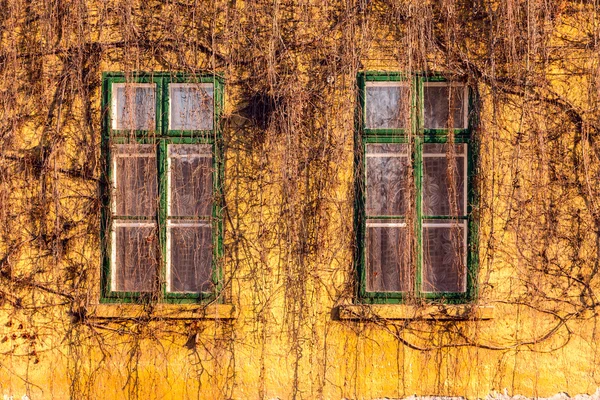 Velhas janelas sujas na velha parede suja — Fotografia de Stock