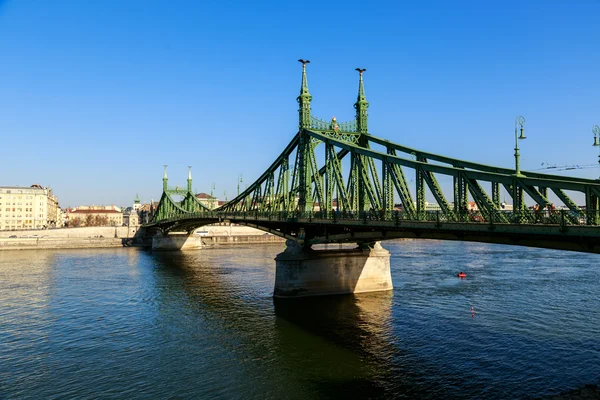 Puente de la Libertad en Budapest, con hambre —  Fotos de Stock