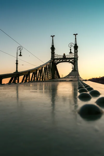 自由の橋 - ブダペスト、ハンガリー — ストック写真
