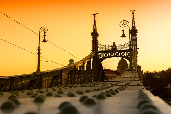 Liberty Bridge - Будапешт, Венгрия — стоковое фото