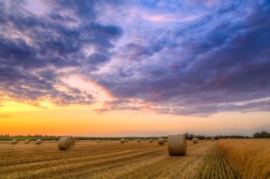 Sunset over farm field with hay bales clipart